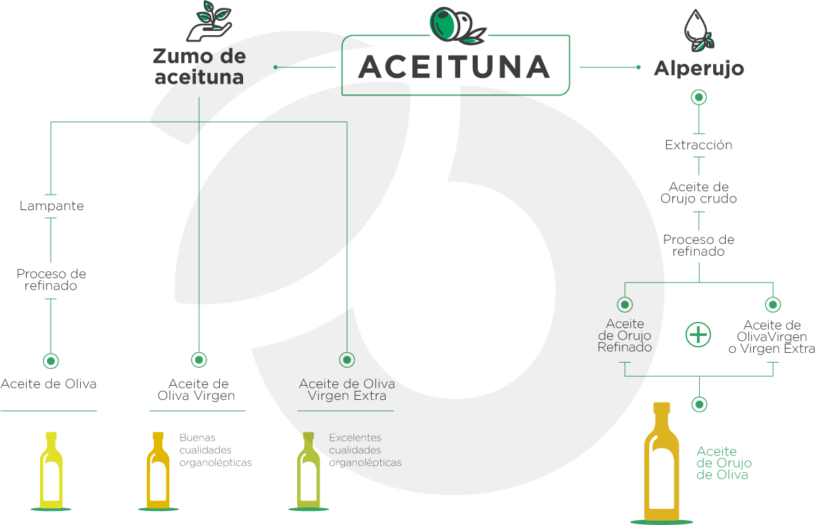 Grafismo zumo de aceituna - alperujo