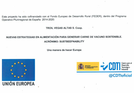 Nuevas estrategias en alimentación para generar carne de vacuno sostenible